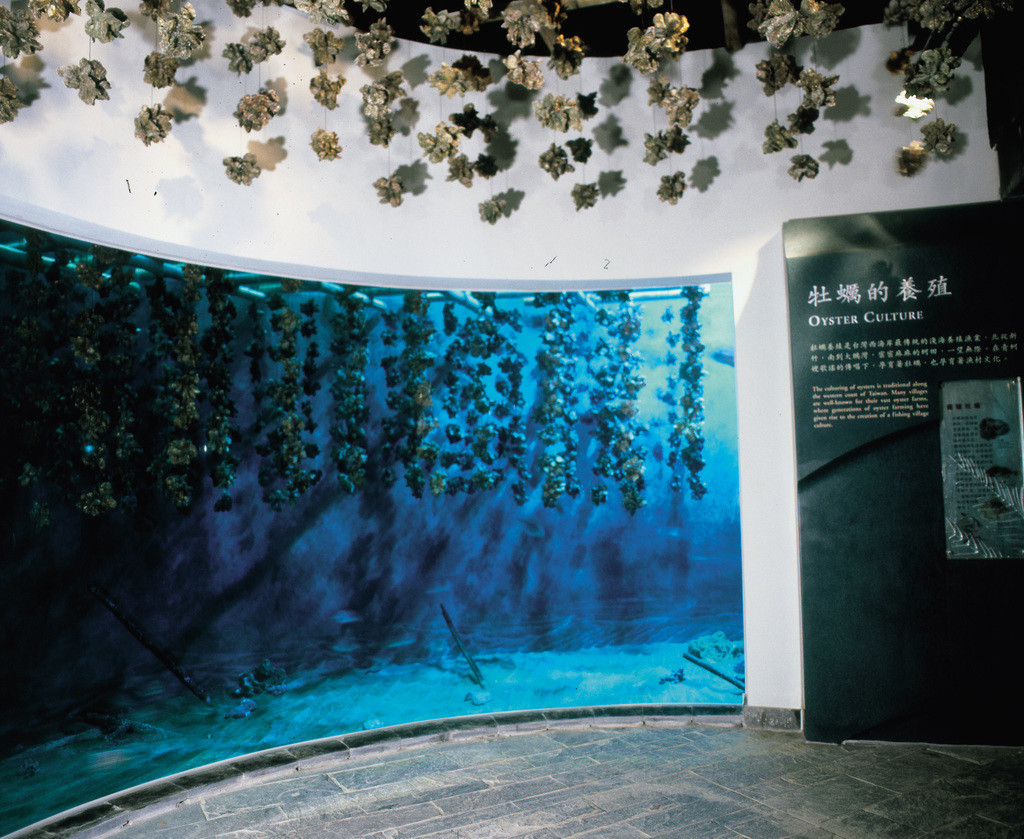 台灣水域-牡蠣養殖區