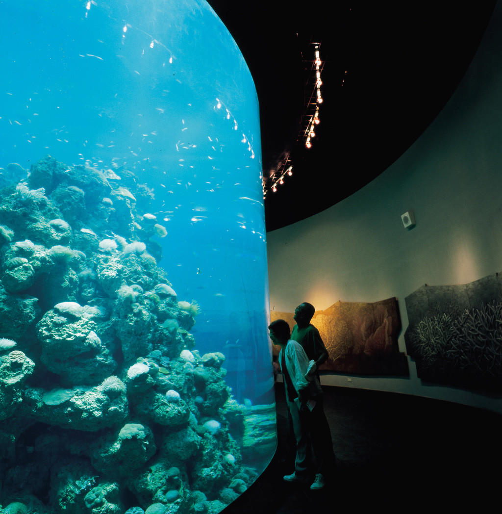 珊瑚王國-珊瑚礁預覽區
