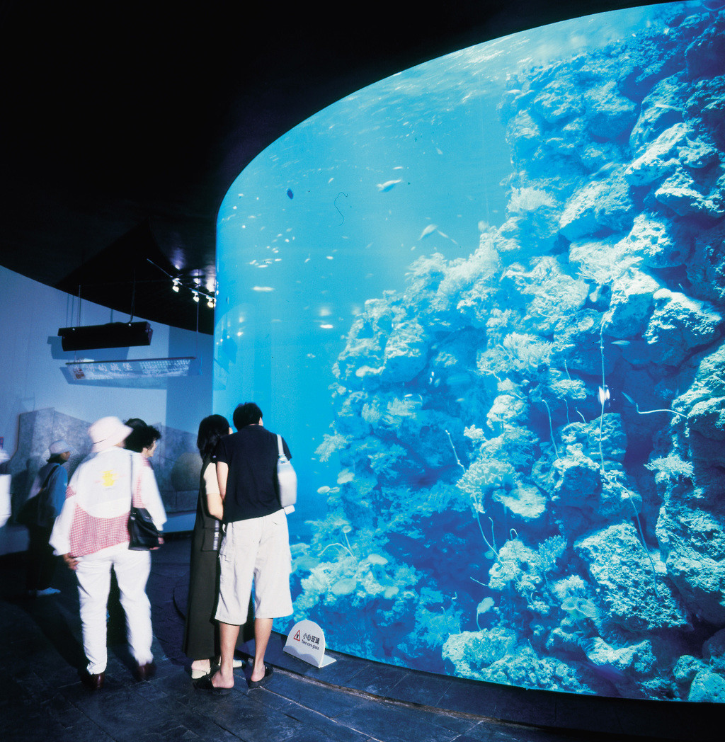 珊瑚王國-珊瑚礁預覽區