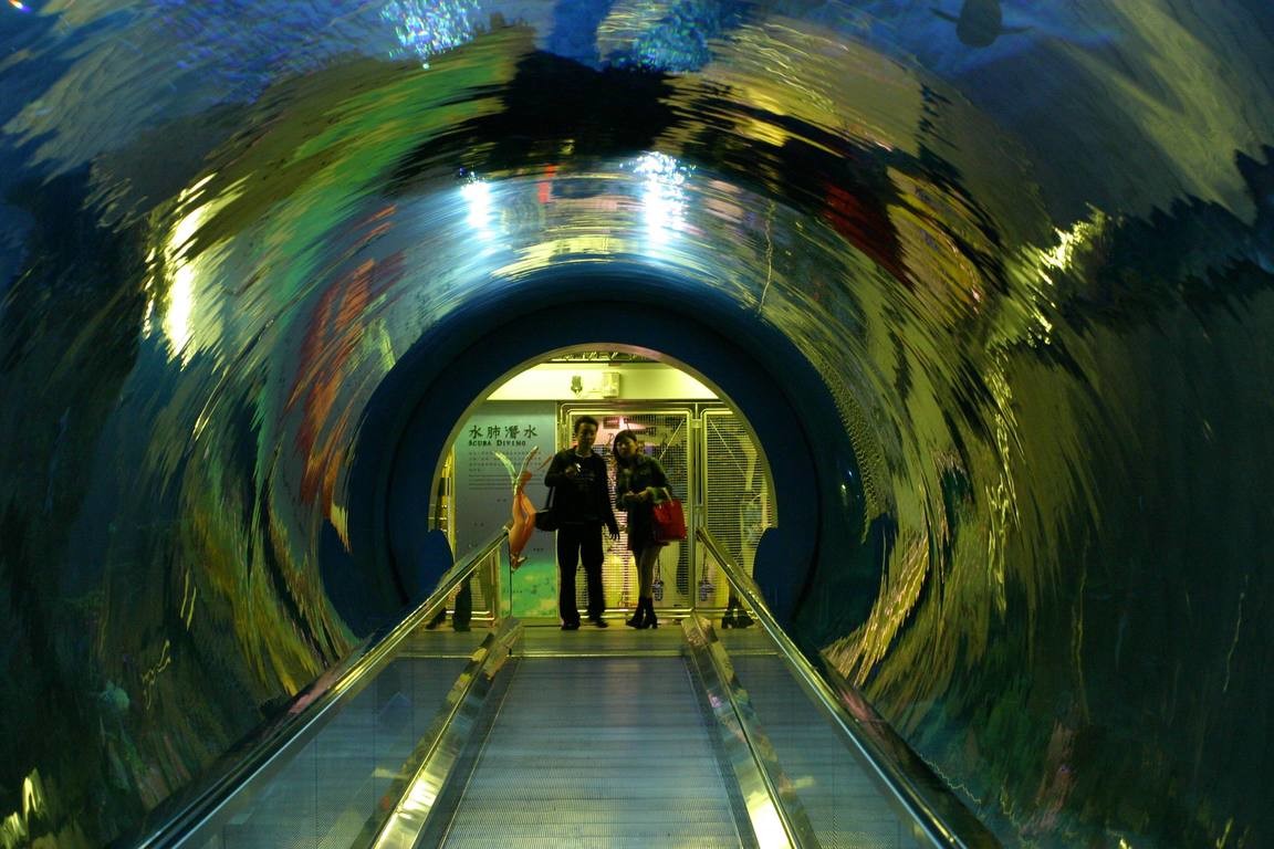 珊瑚王國海底隧道