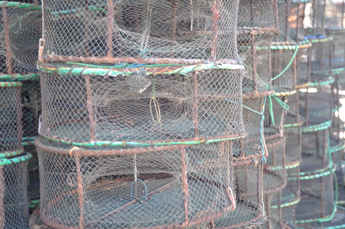 蟹籠