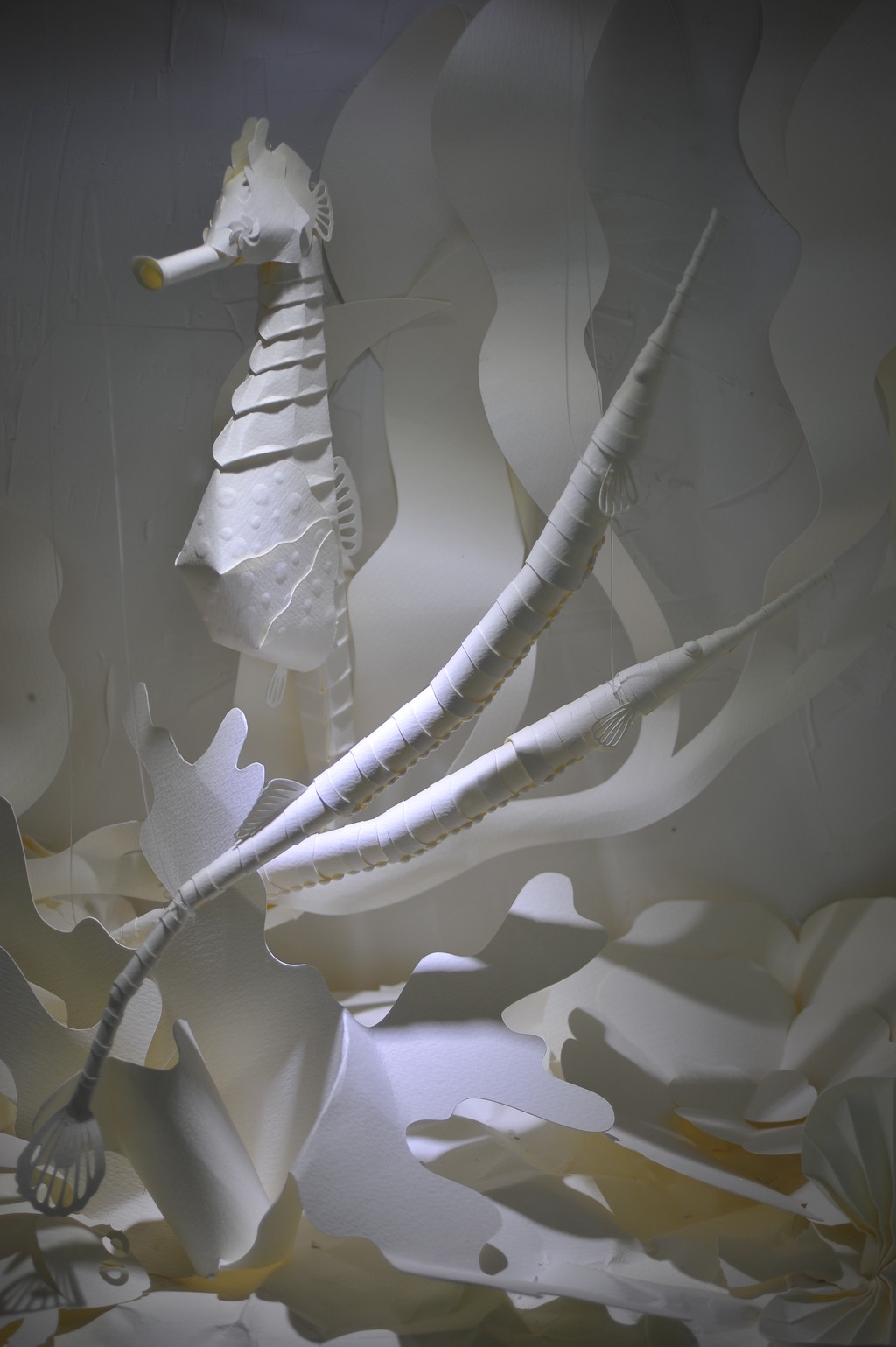 立體紙雕-海馬與海龍