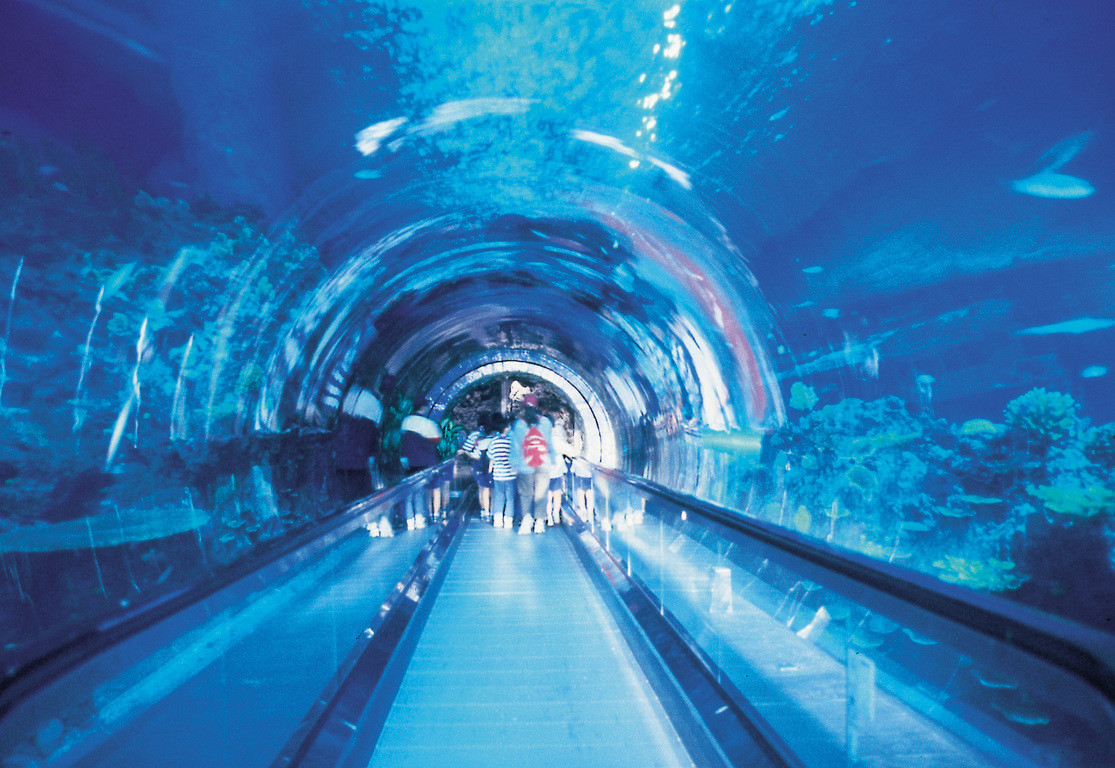 山东韩国海底隧道图片