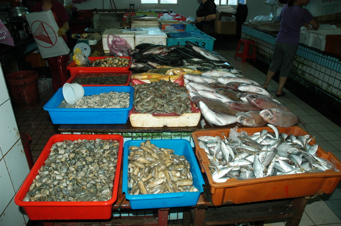 鱼类批发市场 马祖市场 主题:马祖市场